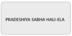 PRADESHIYA SABHA HALI-ELA